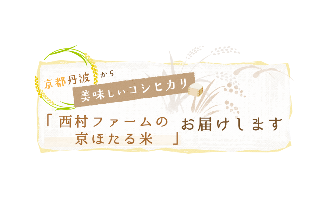 京都丹波から美味しいコシヒカリ「京ほたる米」お届けします 京都丹波　西村farm